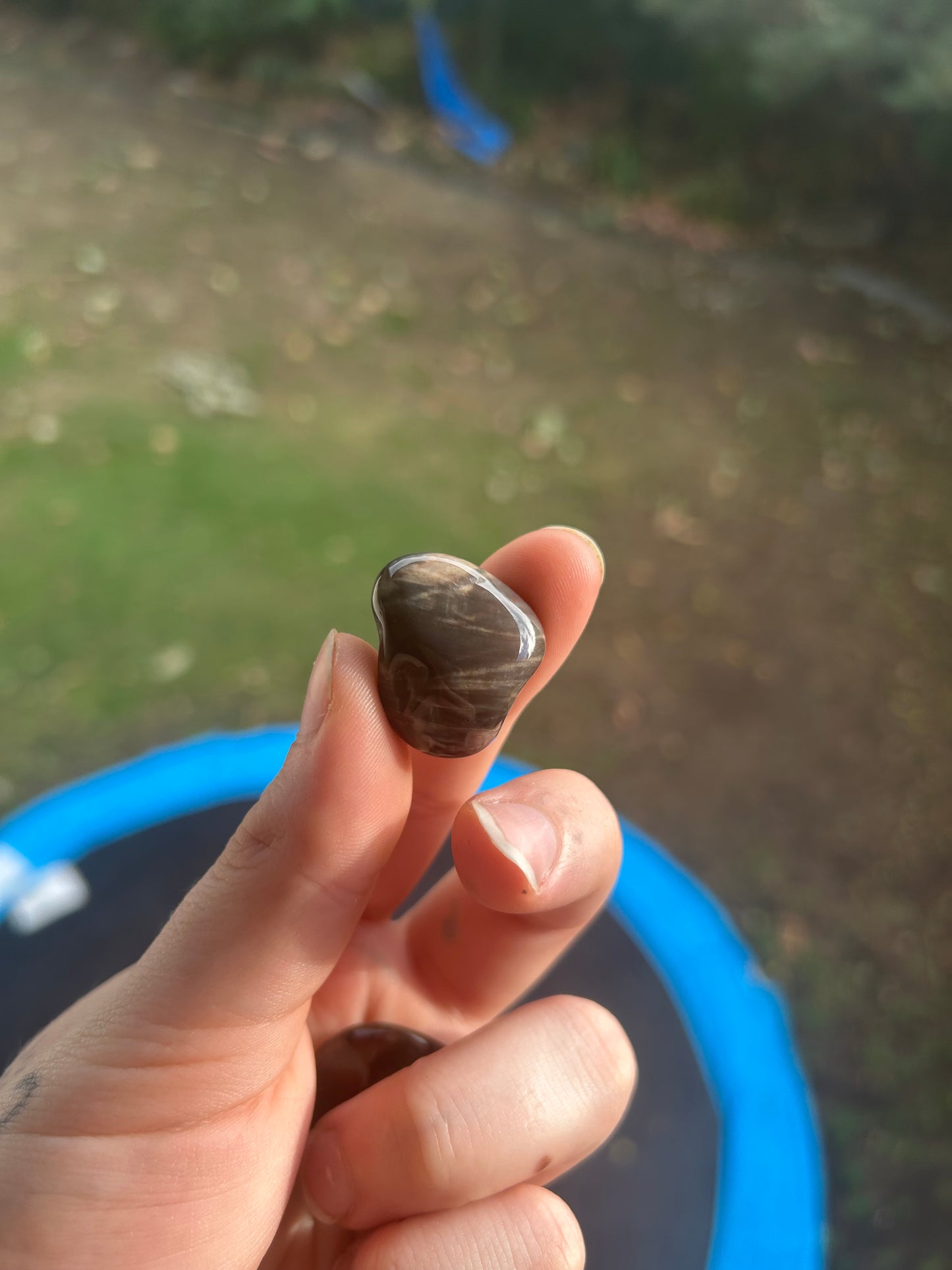 Petrified wood tumble
