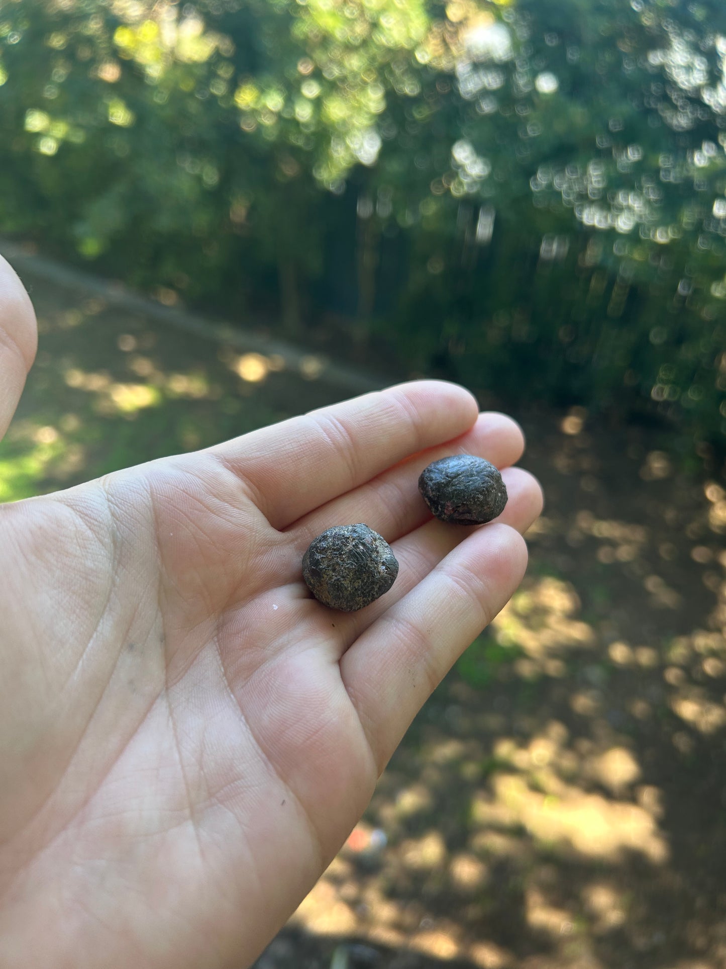 Raw garnet