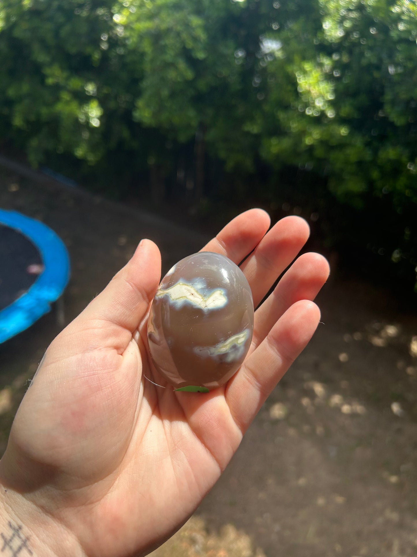 Orca agate palm stone c*