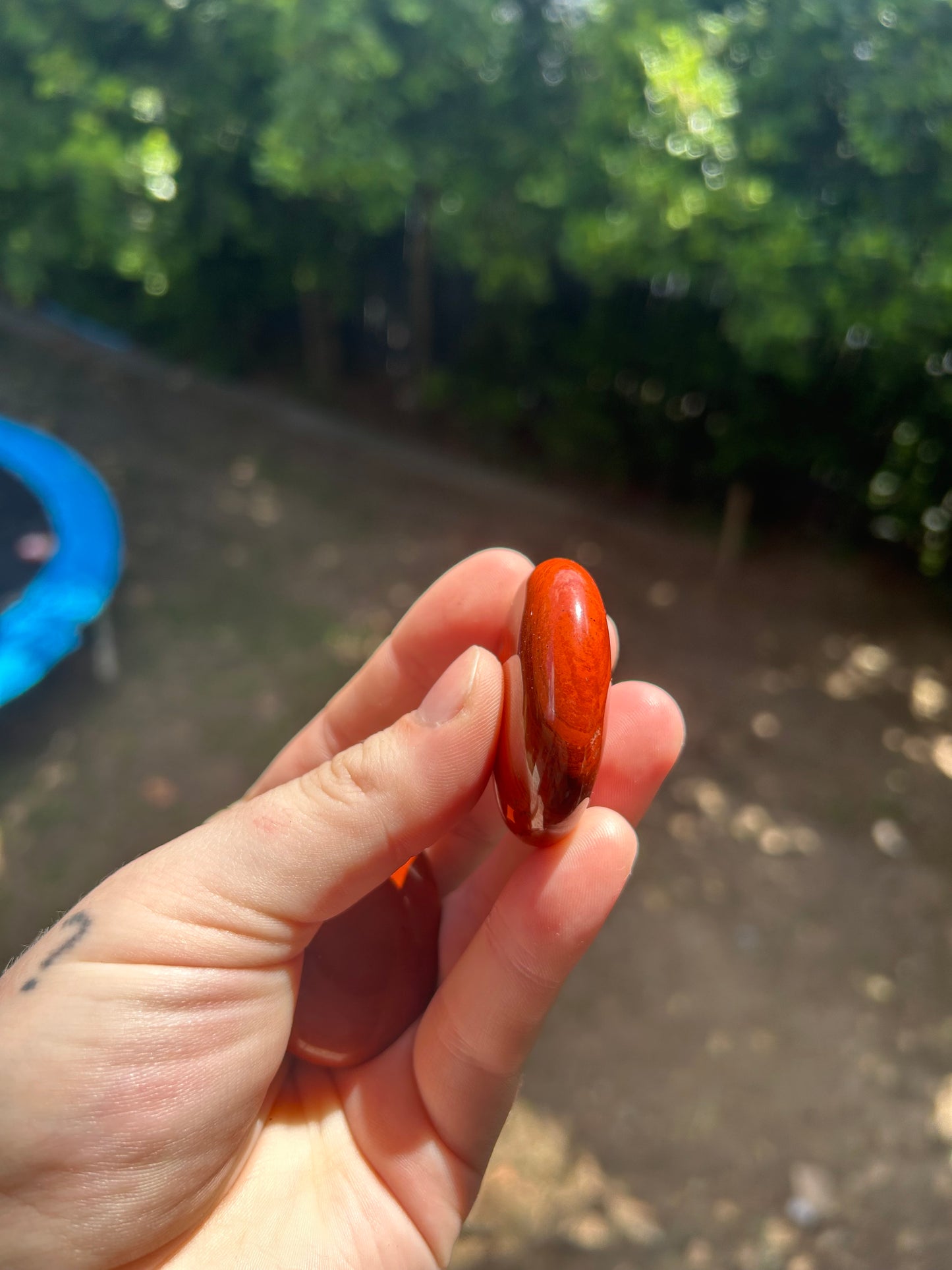 Red jasper palm stone