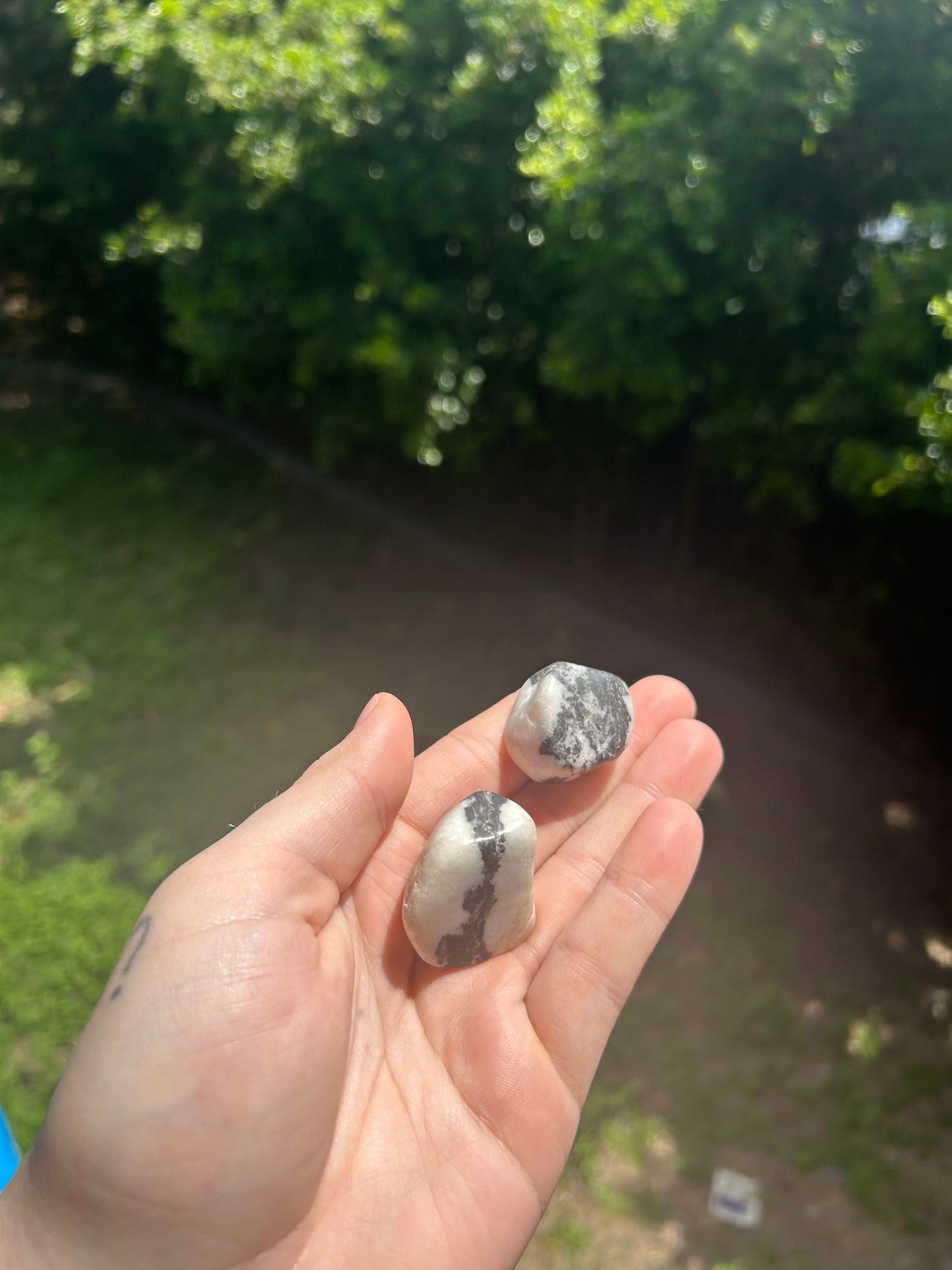 Zebra Jasper tumble