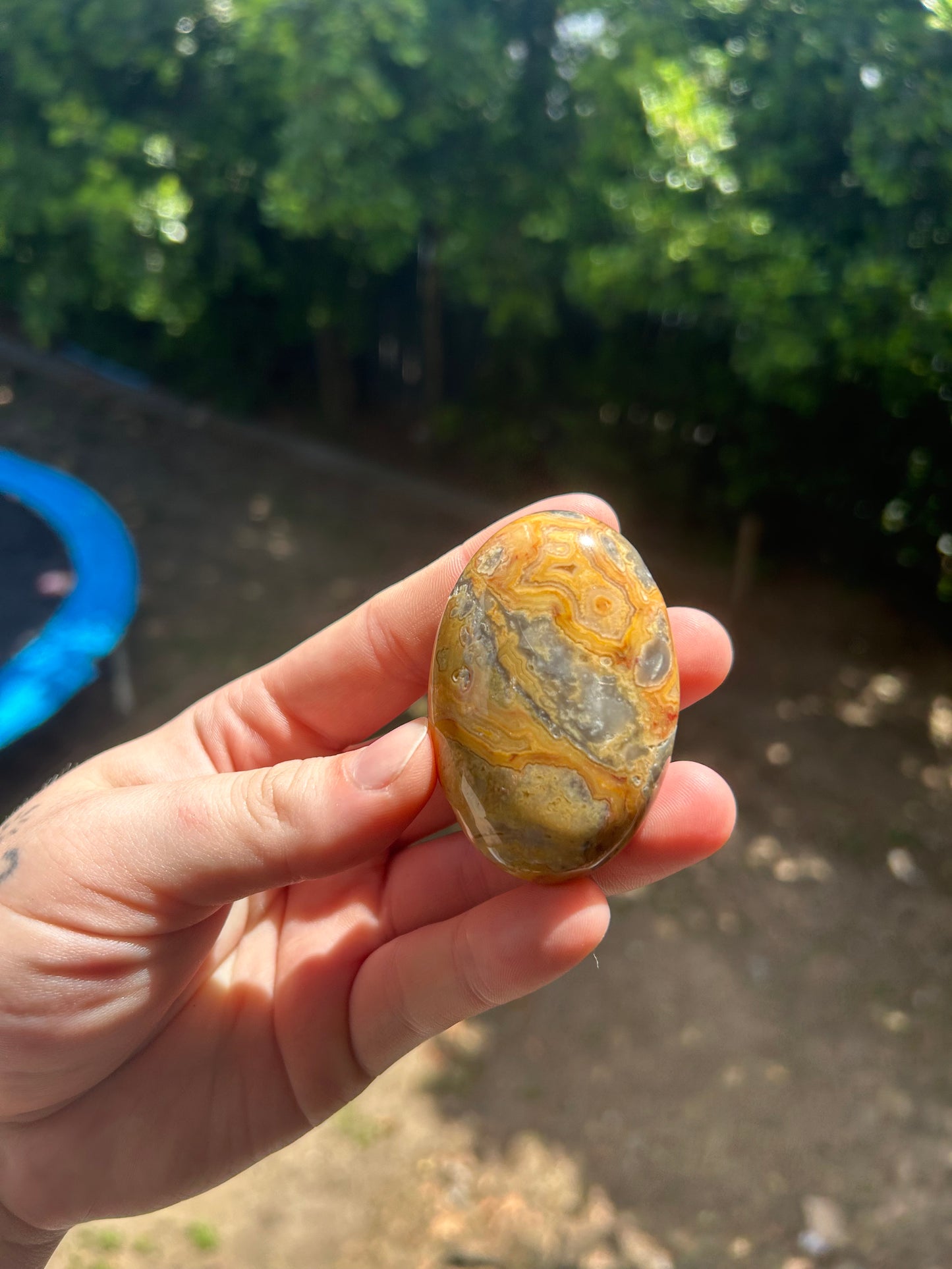 Crazy lace agate palm stone