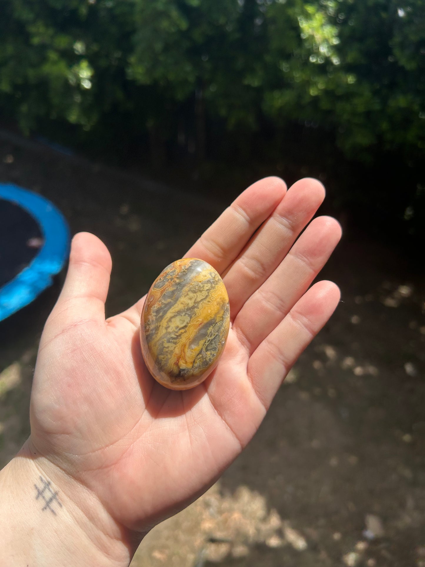 Crazy lace agate palm stone